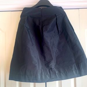 Banana Republic Skirt